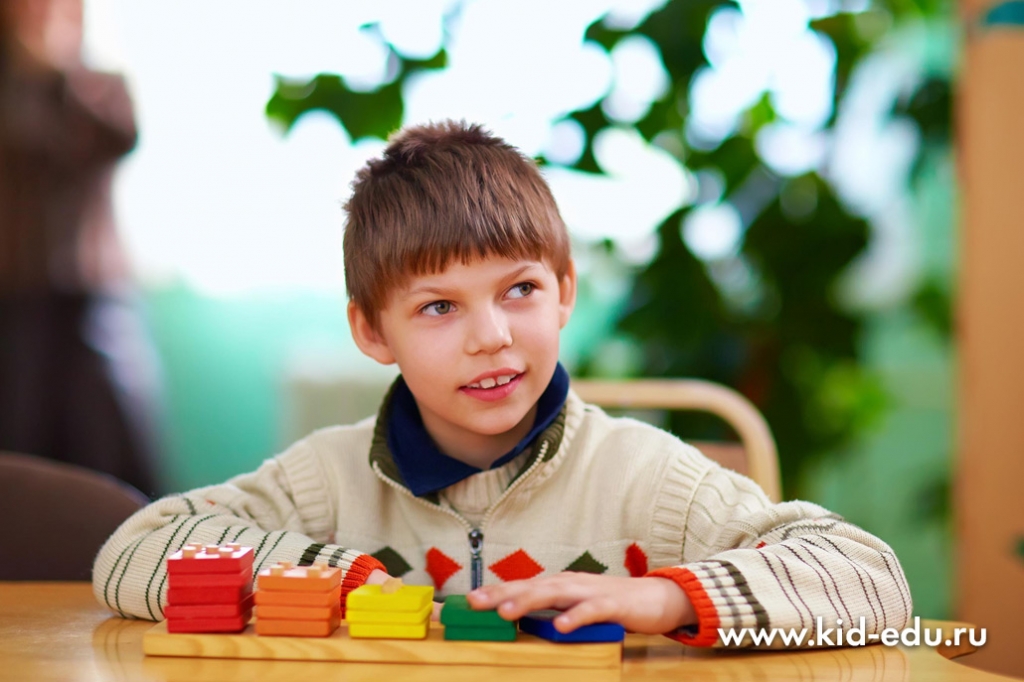 Когнитивное развитие детей с ограниченными возможностями